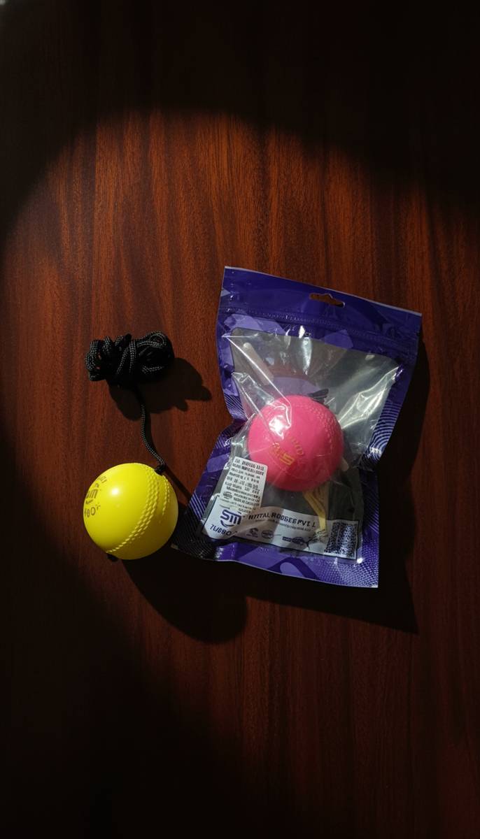 Kids Hanging Ball Toy